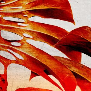 MONSTERA TEXTURE