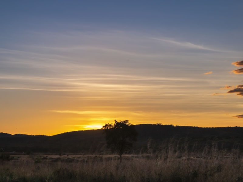 POR DO SOL DE VERAO