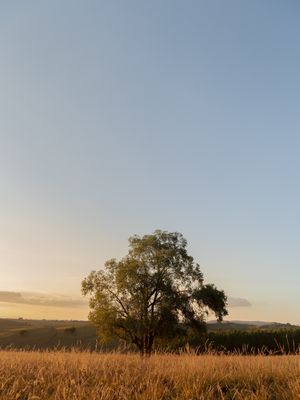 SUNSET FURNAS