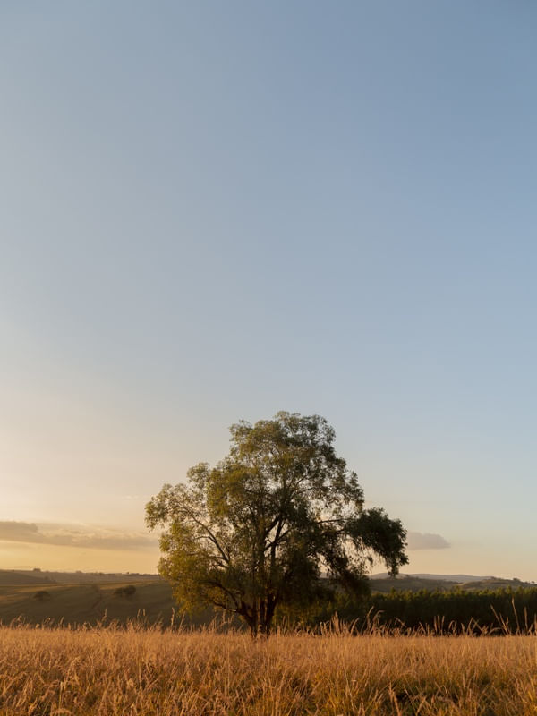 SUNSET FURNAS