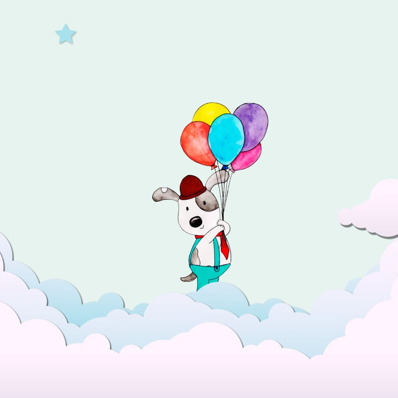 PASSEANDO NAS NUVENS