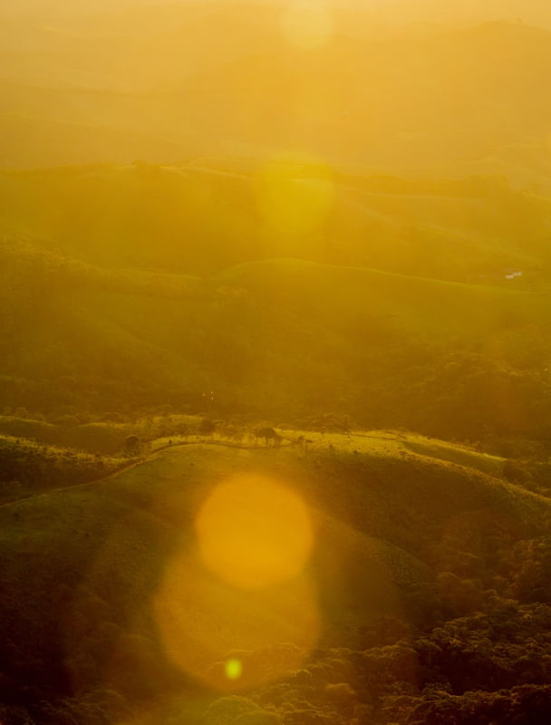 ÁRVORE EM MONTANHA NO POR DO SOL