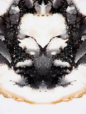 MIRRORED COFFEE AND INK