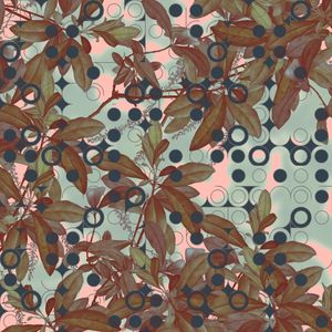 LEAFS AND CIRCLES
