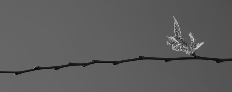 NA HORIZONTAL 00