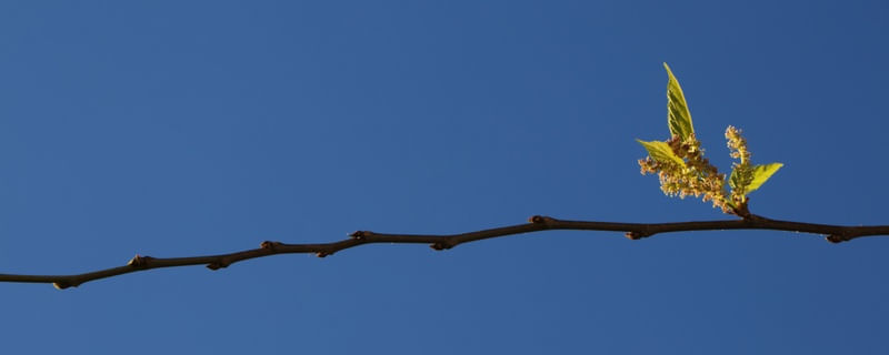 NA HORIZONTAL