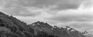 ARVORES E MONTANHAS