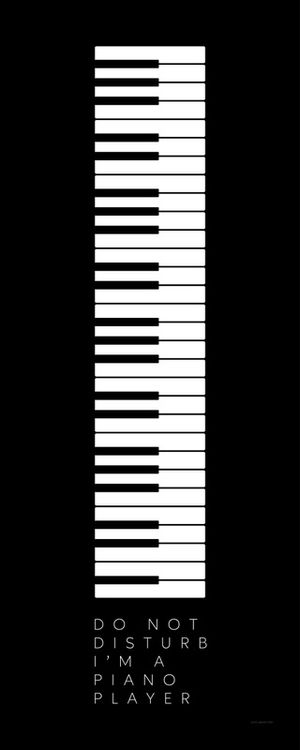 INSTRUMENTOS DO NOT DISTURB 1/4