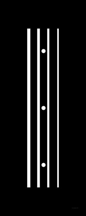 INSTRUMENTO BAIXO
