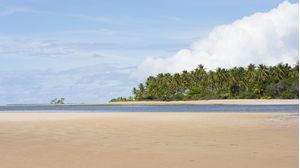AREIA MOLHADA