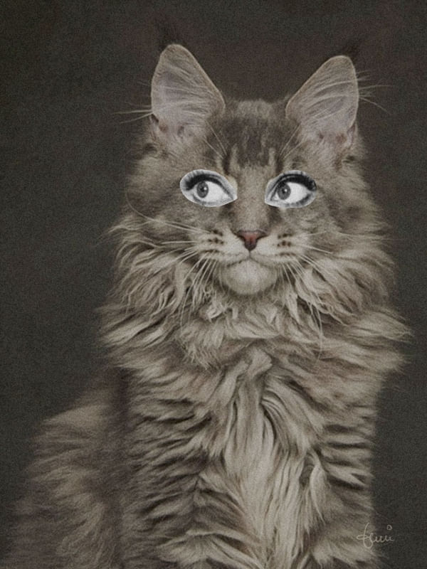 COLLAGE - GATA 1R