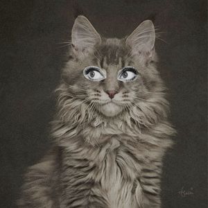 COLLAGE - GATA 1Q