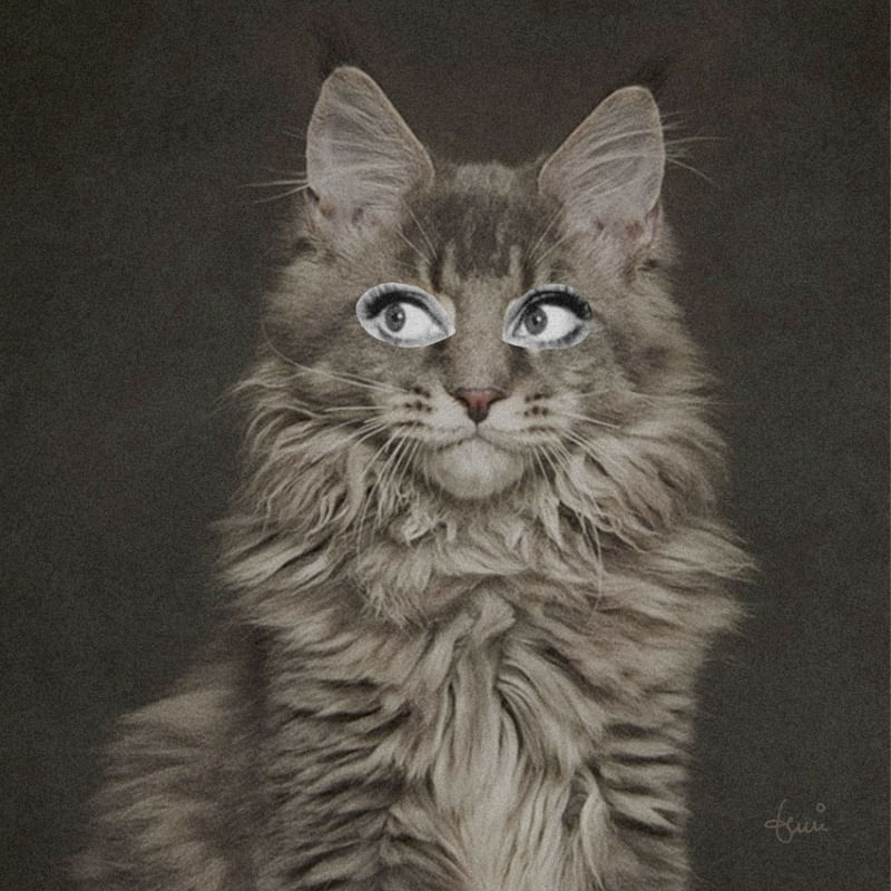 COLLAGE - GATA 1Q
