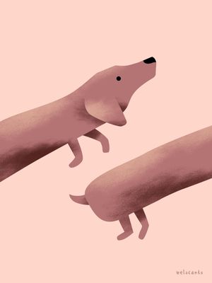 DACHSHUND GO
