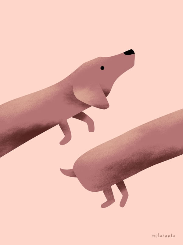 DACHSHUND GO