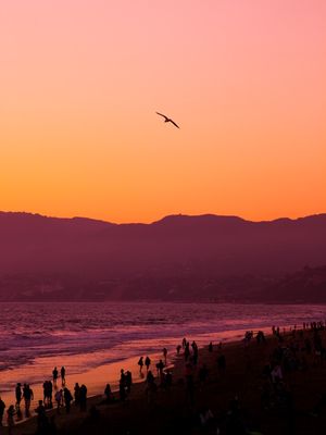 SUNSET AT SANTA MONICA