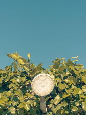 BANHO DE VERÃO