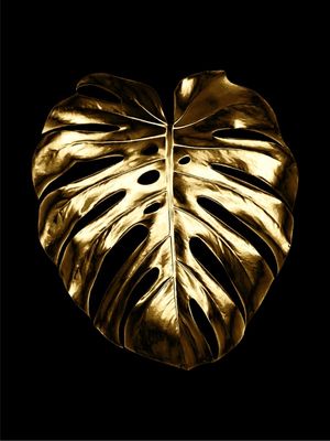 GOLDEN FOLHAS'