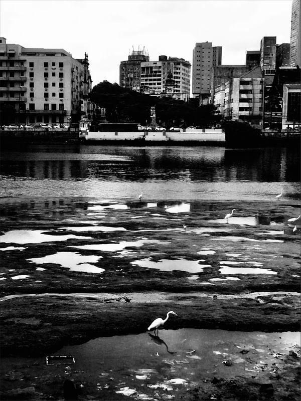 DELTA DO IMPERADOR