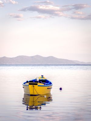 PÁSSARO A BORDO