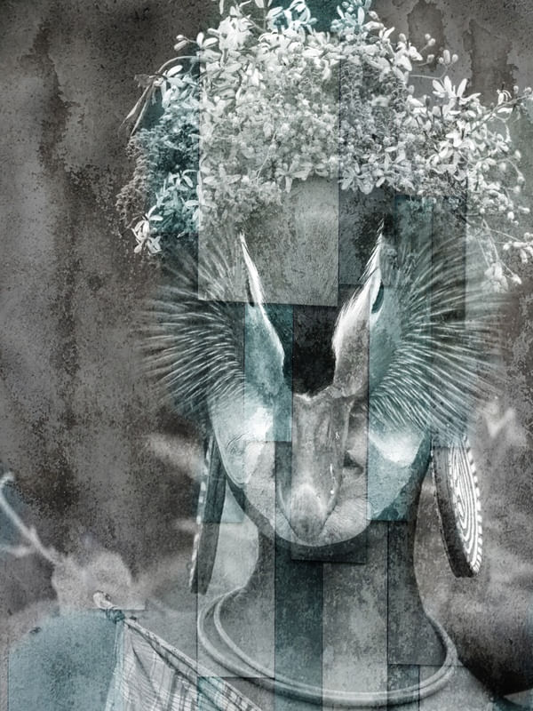 CITY OF BIRDS 53