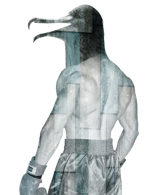 CITY OF BIRDS 55