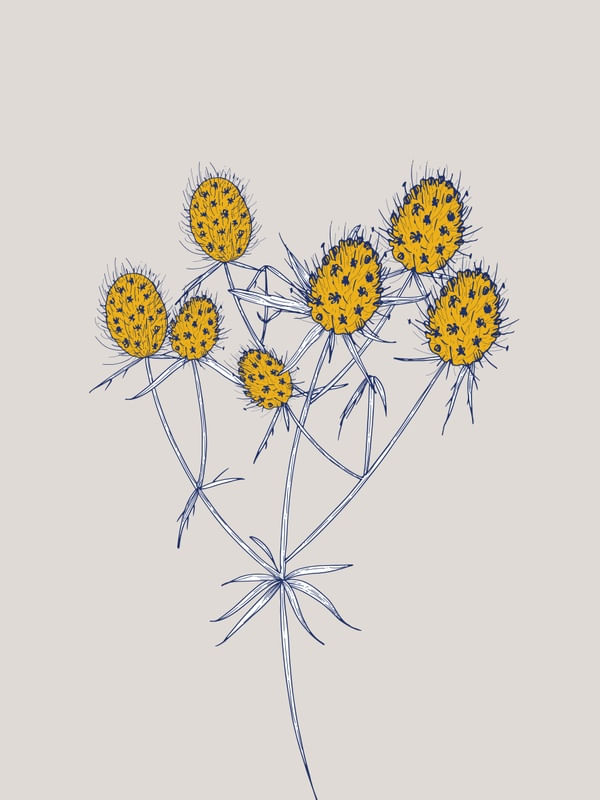 BOTANICAL ART
