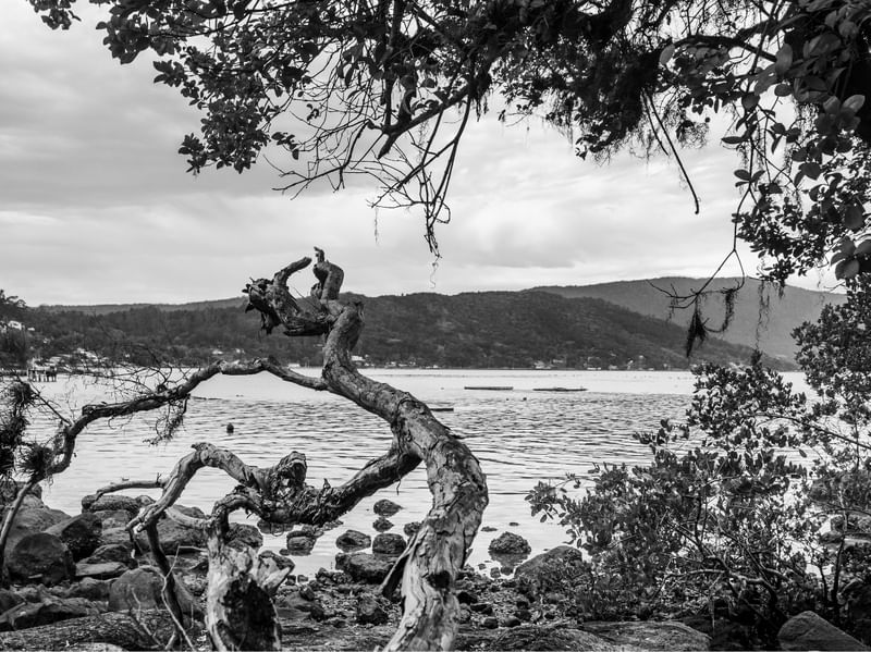 VISTA PRAIA