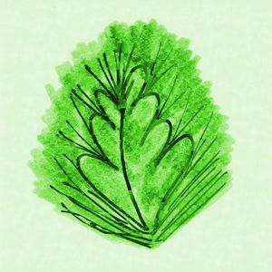 GRAVURA 149 ES