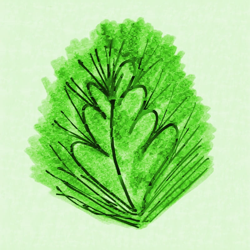 GRAVURA 149 ES