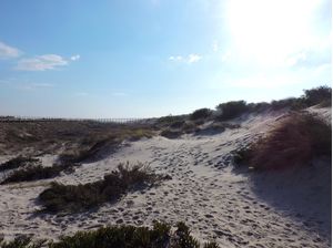 AVEIRO 2