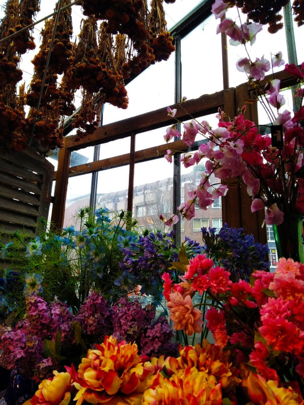 JANELA NO MERCADO DE FLORES