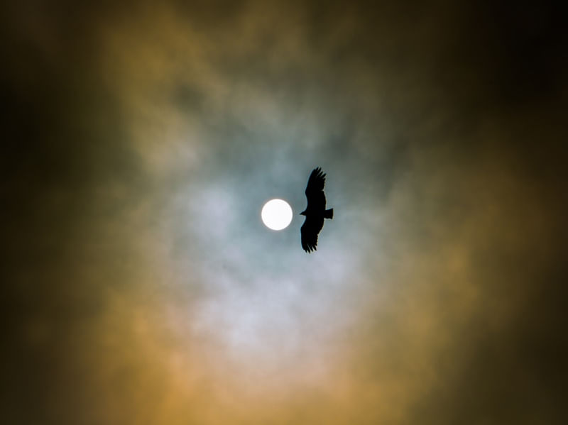 OLHO NO CÉU