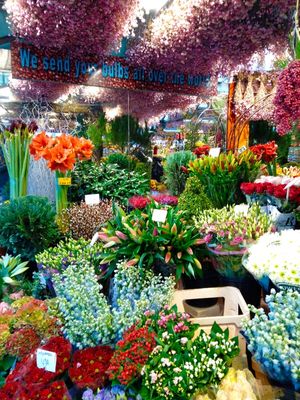 MERCADO DE FLORES EM AMSTERDAM