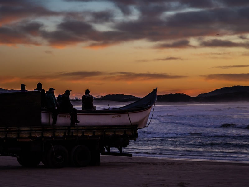 PESCA TAINHA