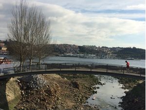 A PONTE E O RIO