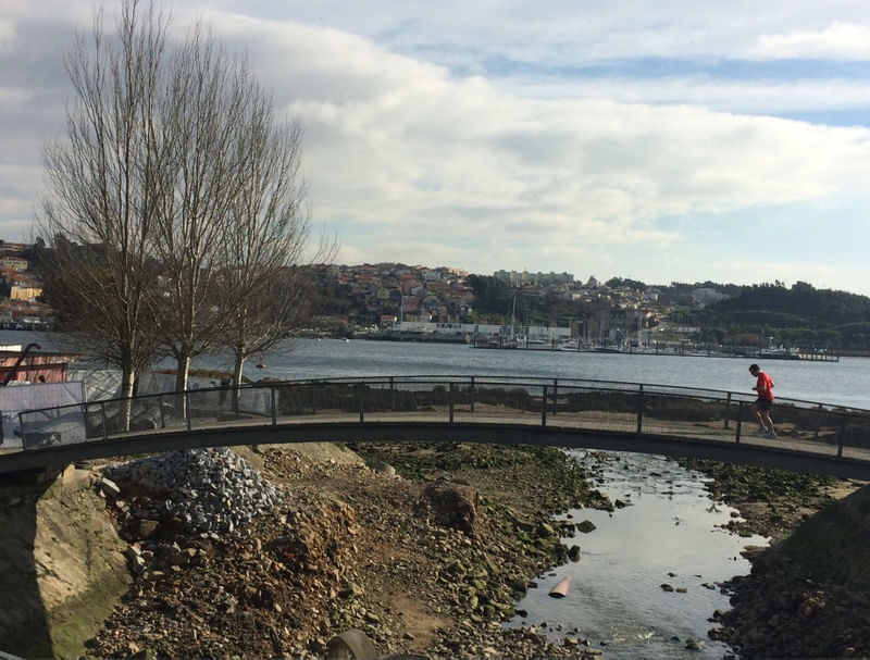 A PONTE E O RIO