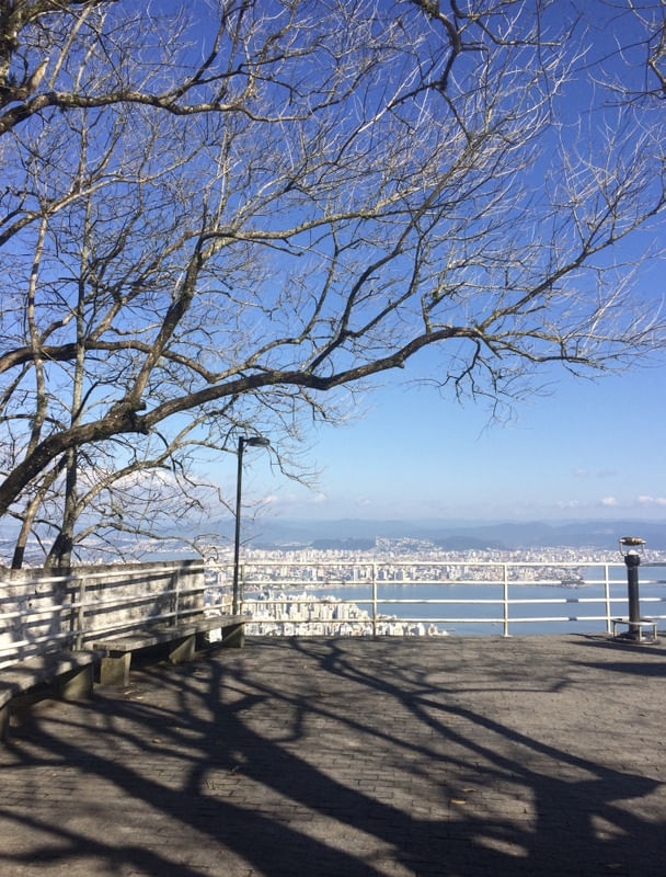 A ÁRVORE E O CÉU
