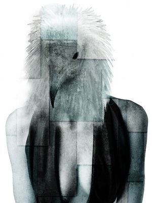 CITY OF BIRDS 54