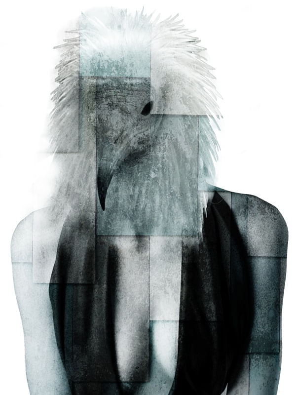 CITY OF BIRDS 54