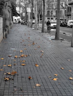 FOLHAS NAS RUAS DE BARCELONA