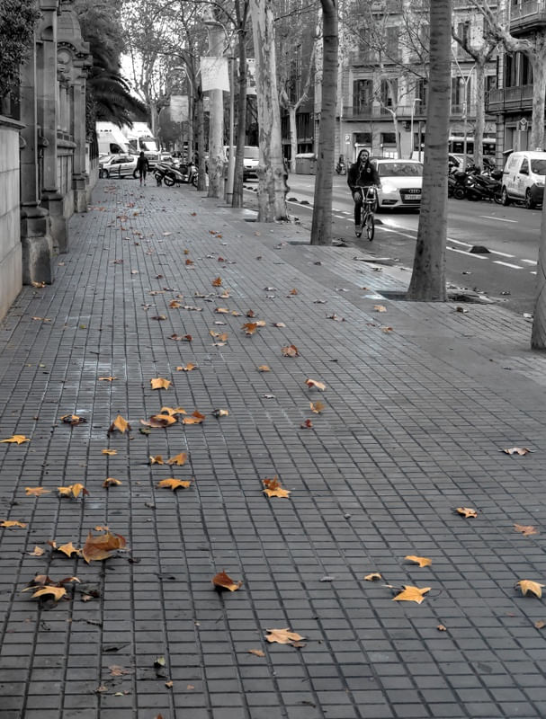FOLHAS NAS RUAS DE BARCELONA