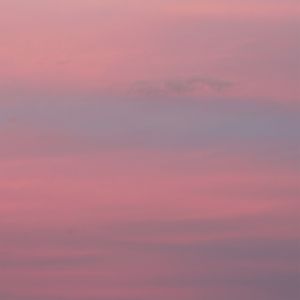 ROSAS/CÉU