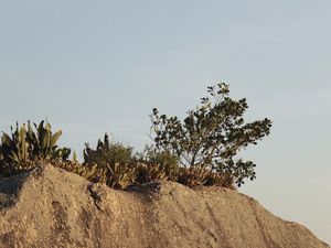 SOL SOBRE PEDRA
