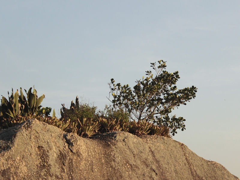 SOL SOBRE PEDRA