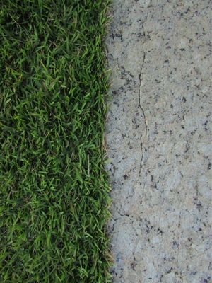 VERDE E PEDRA
