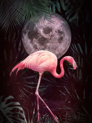 FLAMINGO COM A LUA NA SELVA