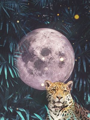 CHITA COM LUA NA SELVA
