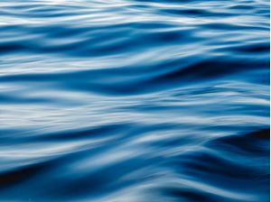 WALKING OCEAN