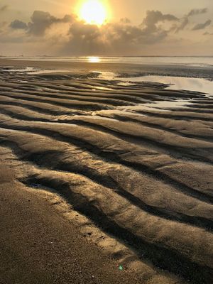 TAMARINDO SUNSET I